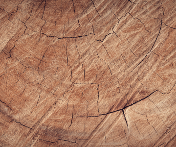 Wat is eikenhout en hoe kan je het restylen